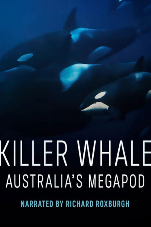 Killer Whale: Australia's Megapod poster