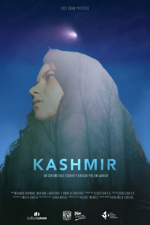Movie poster for Kashmir (2018)