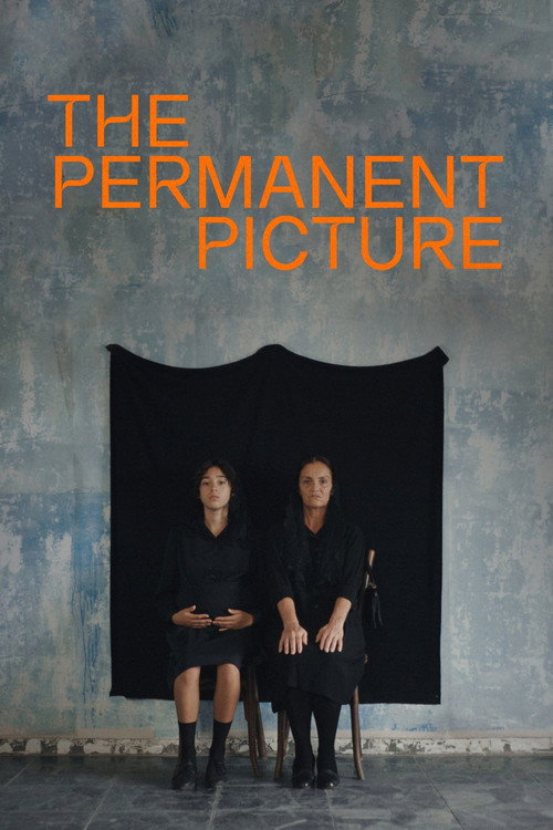 Movie poster for The Permanent Picture (2023)