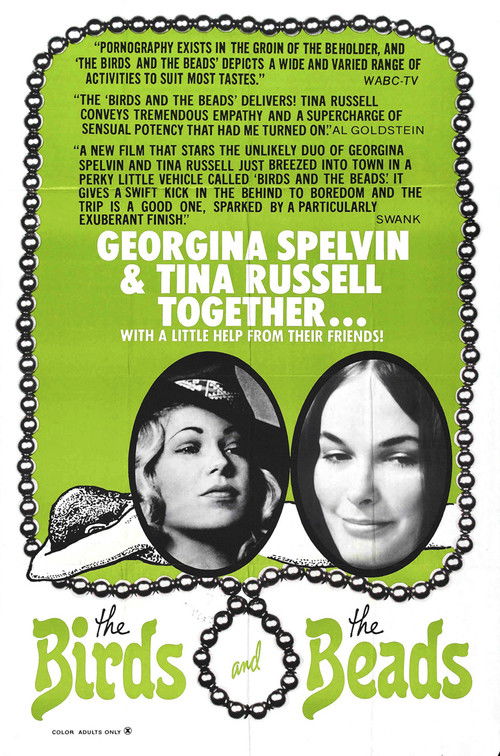 Movie poster for The Birds and the Beads (1973)