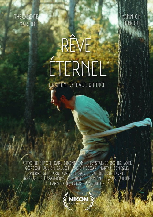 Movie poster for Rêve éternel