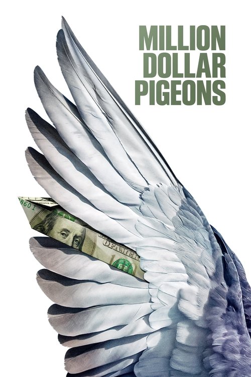 Movie poster for Million Dollar Pigeons (2022)