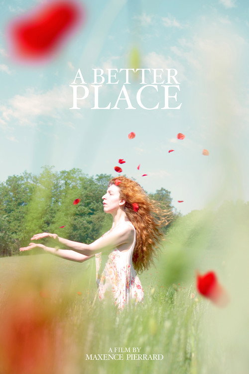 Movie poster for A Better Place