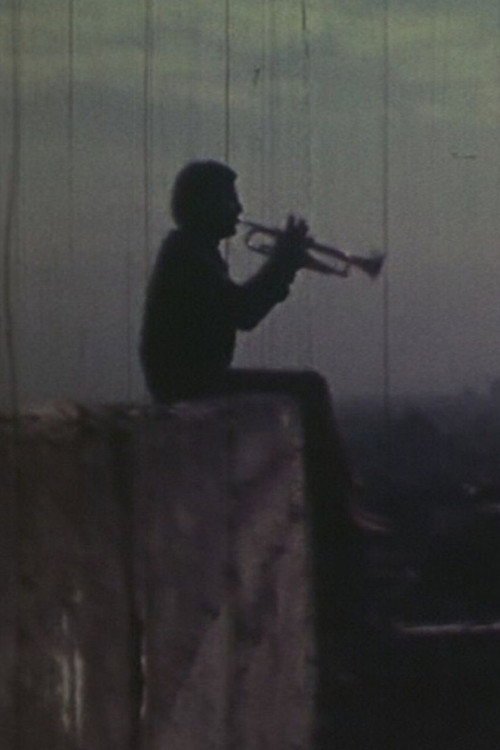 Movie poster for Abandoned Heights (1972)