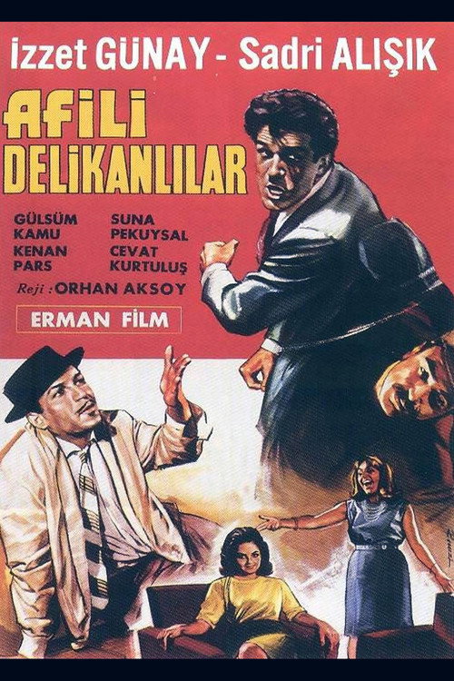 Movie poster for Afili Delikanlılar (1964)