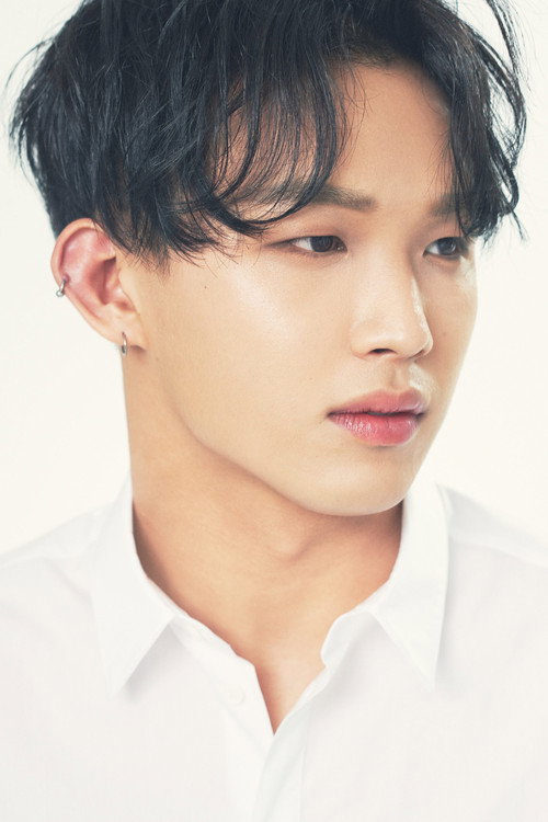 Lim Hyun-sik profile