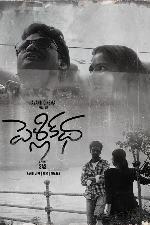 Movie poster for Marriage Story (2022)