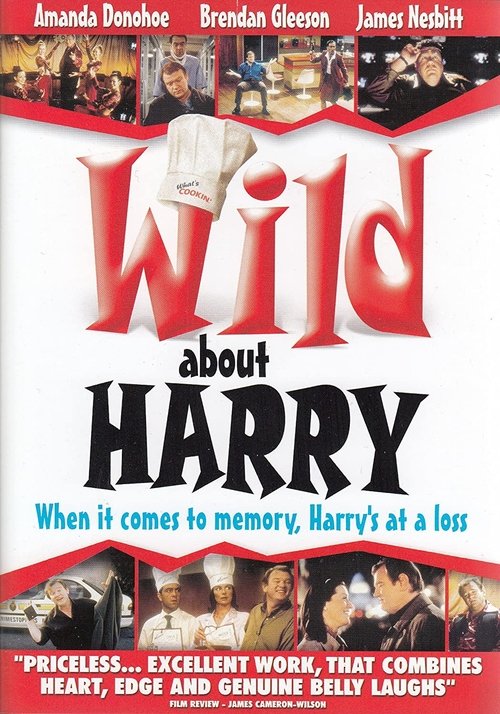 Movie poster for Wild About Harry (2000)