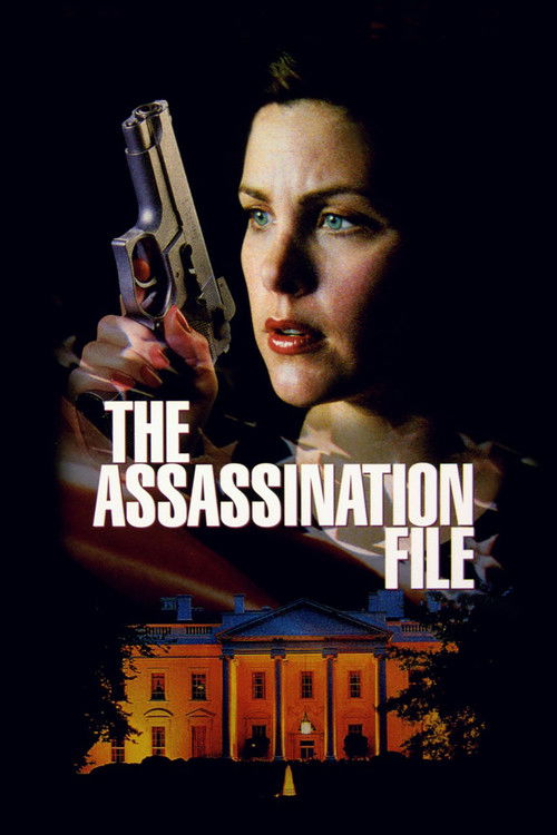 Movie poster for The Assassination File (1996)