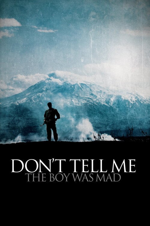 Movie poster for Don't Tell Me the Boy Was Mad (2015)