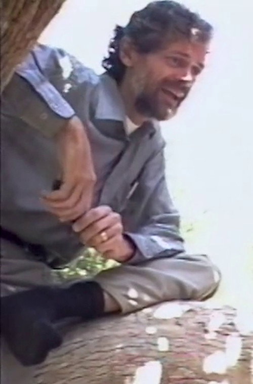 Movie poster for Antecedence: Terence McKenna Talks Virtual Reality (1991)