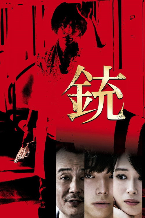 Movie poster for The Gun (2018)