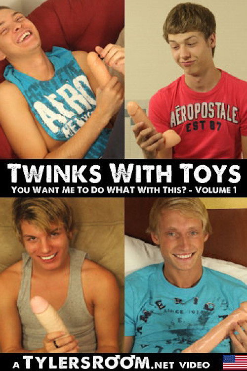 Movie poster for Twinks with Toys (2013)