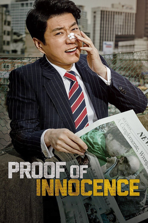 Movie poster for Proof of Innocence (2016)