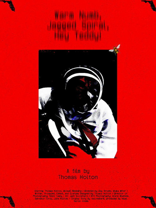 Movie poster for Warm Numb, Jagged Spiral, Hey Teddy!