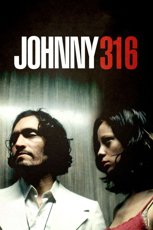 Movie poster for Johnny 316 (1998)