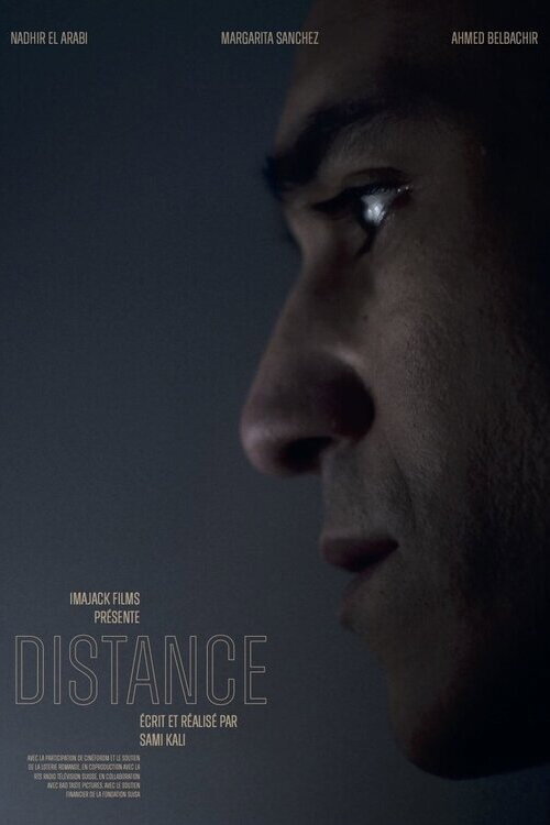 Movie poster for Distance
