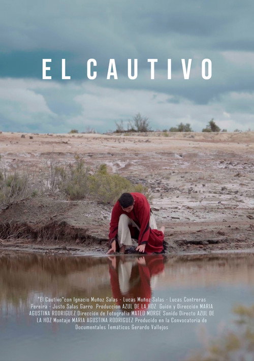 Movie poster for The Captive