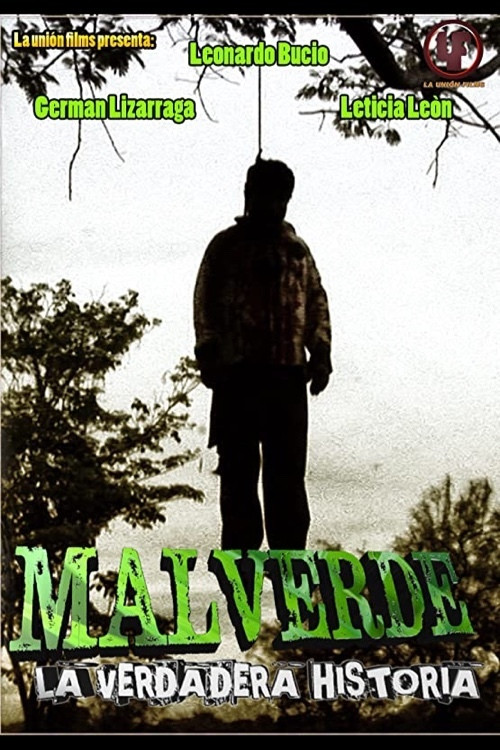 Movie poster for MALVERDE: La verdadera historia (2014)