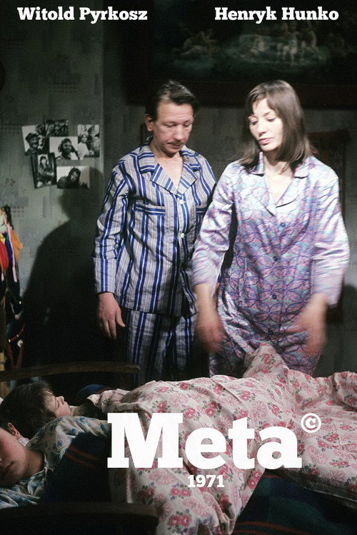 Movie poster for Meta (1981)