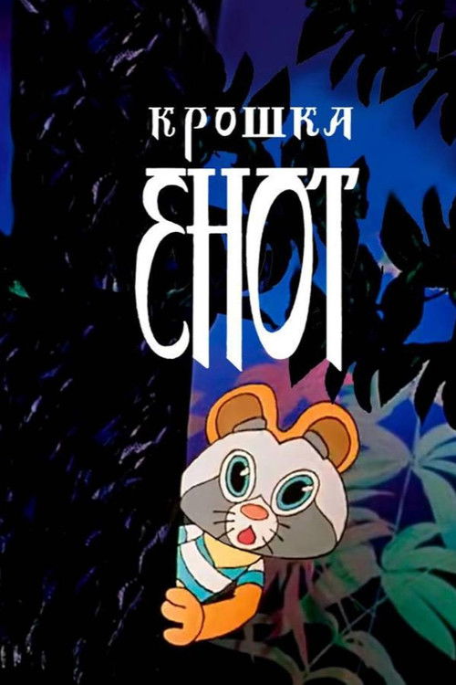 The Little Raccoon poster