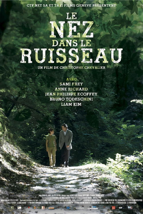 Movie poster for Le nez dans le ruisseau (2012)