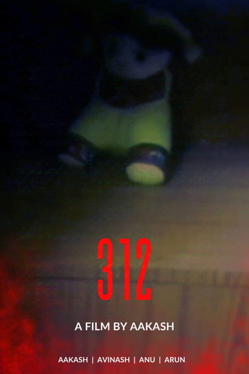 Movie poster for 312 (2018)