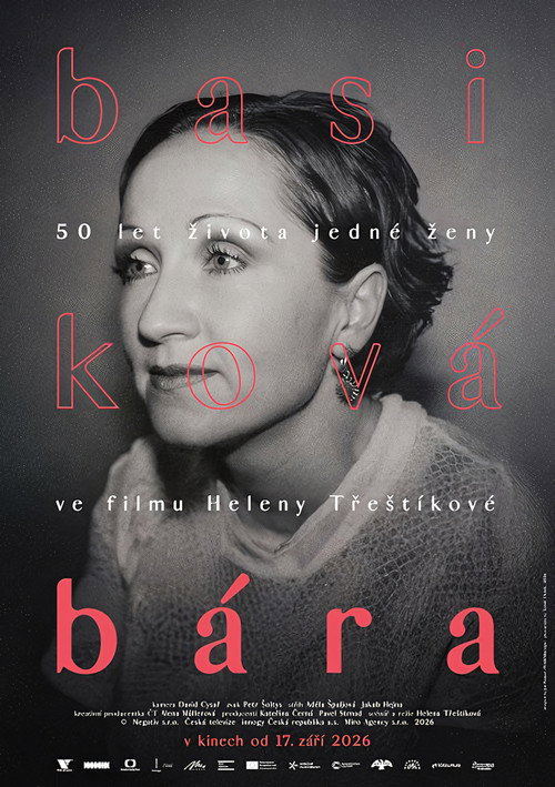 Movie poster for Bára - Diary of a Rockstar