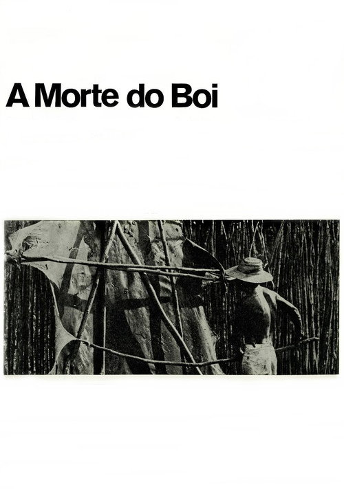 Movie poster for A Morte do Boi (1970)