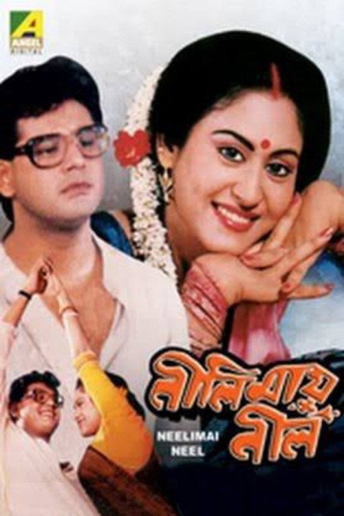 Movie poster for Neelimay Neel (1991)