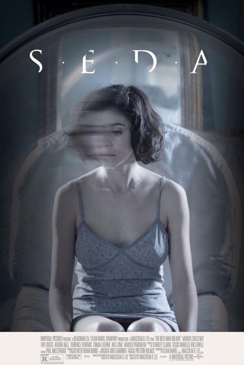 Movie poster for Silk (2018)