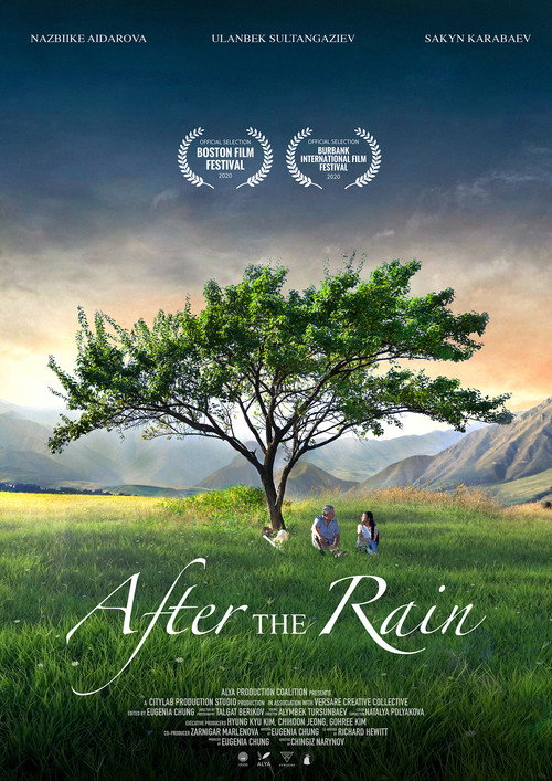 Movie poster for After the Rain (2019)