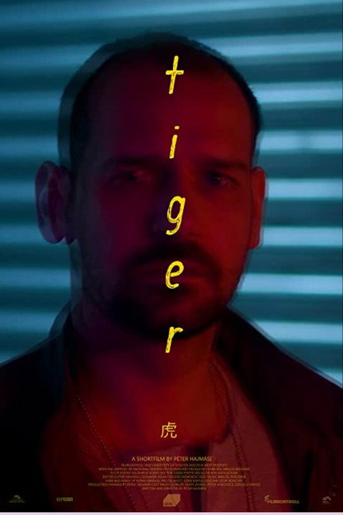 Movie poster for Tigris