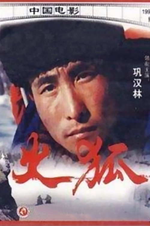 Movie poster for Sparkling Fox (1993)