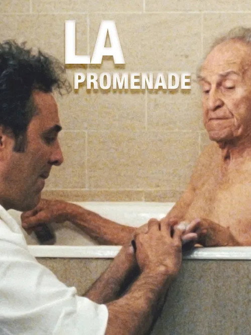 Movie poster for La promenade (2007)