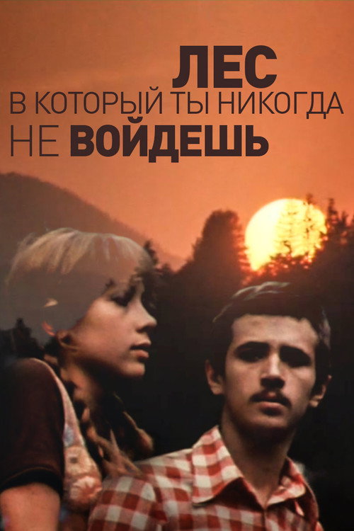 Movie poster for The Forest You'll Never Enter (1978)
