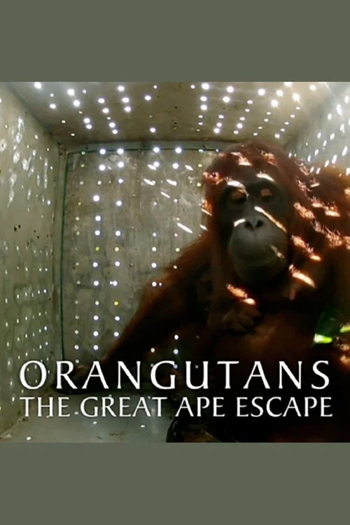 Movie poster for Orangutans: The Great Ape Escape (2013)