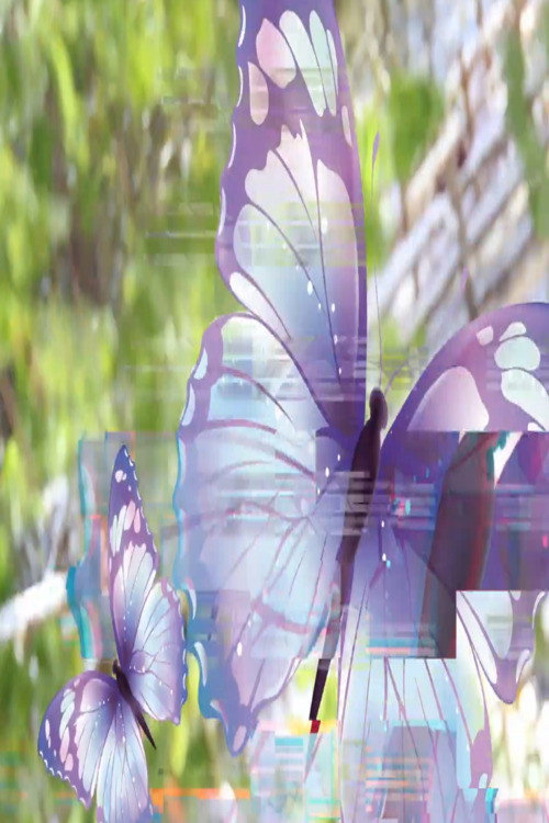 Movie poster for sacha_butterfly_hypno_reconstruction1.mp4 (2025)