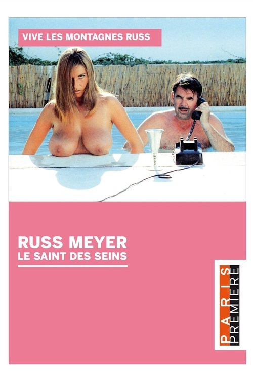 Movie poster for Russ Meyer - Le Saint Des Seins (2015)
