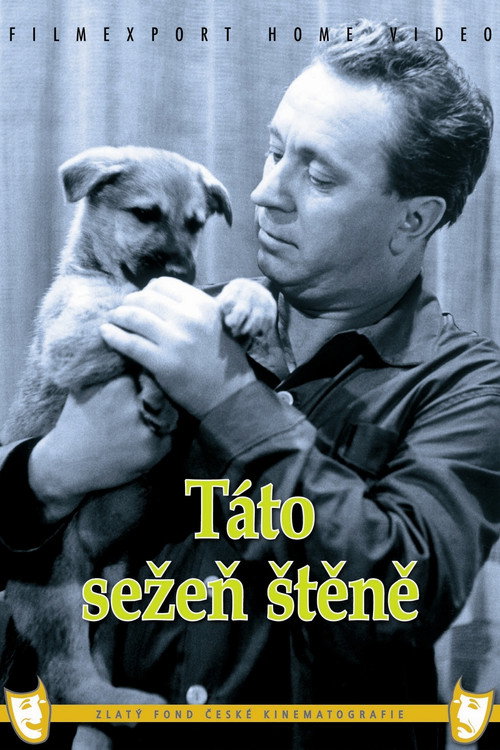 Movie poster for Táto sežeň štěně (1964)
