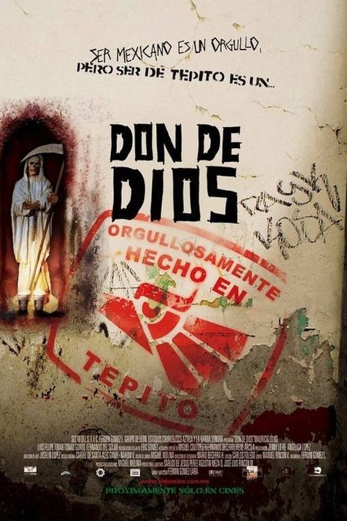 Movie poster for Don de Dios (2005)