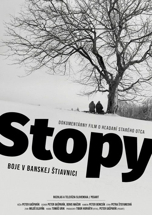 Movie poster for Footprints: Fighting in Banská Štiavnica (2023)