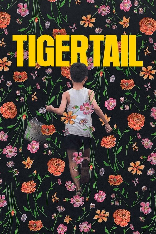 Movie poster for Tigertail (2020)