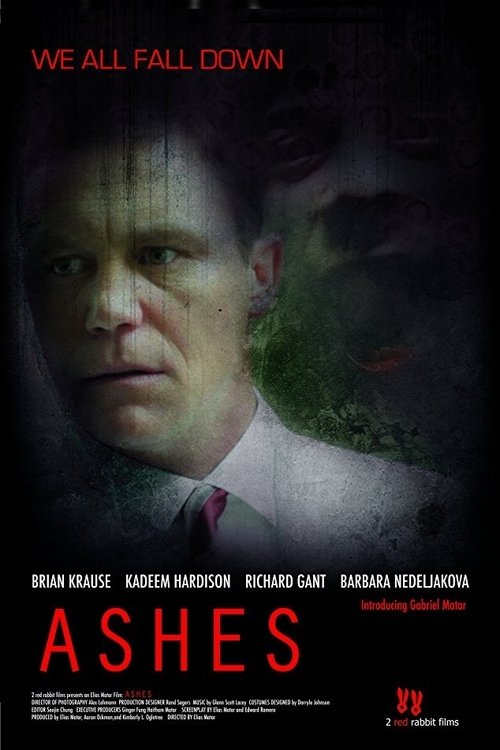 Movie poster for Ashes (2010)