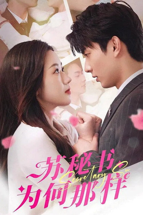 苏秘书为何那样 poster