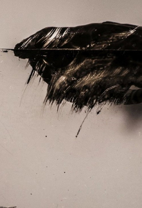 Movie poster for Trip (2017)