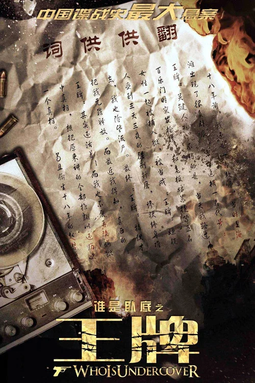 Movie poster for Who Is Undercover (2014)