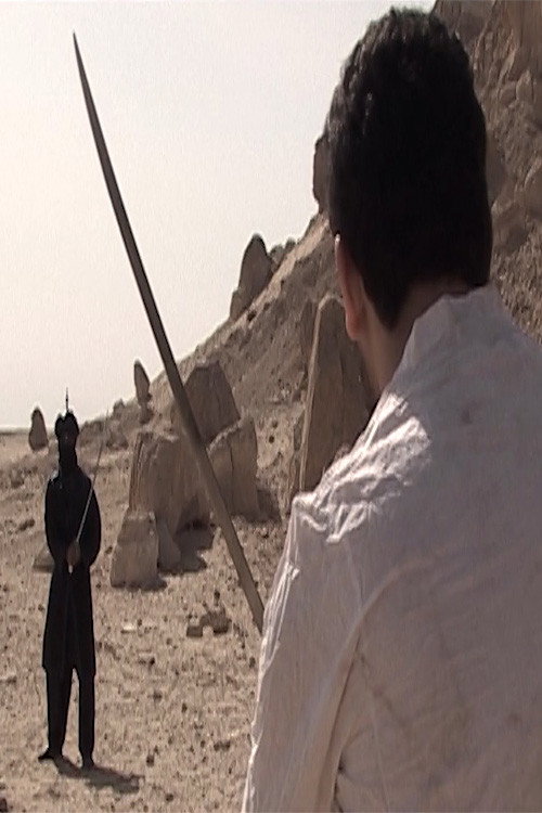 Movie poster for A Warrior (2007)
