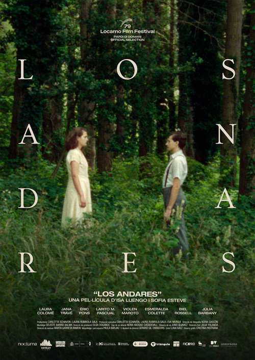 Movie poster for The Wanderers