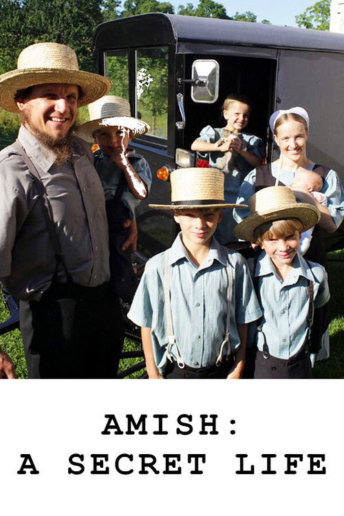 Movie poster for Amish: A Secret Life (2012)